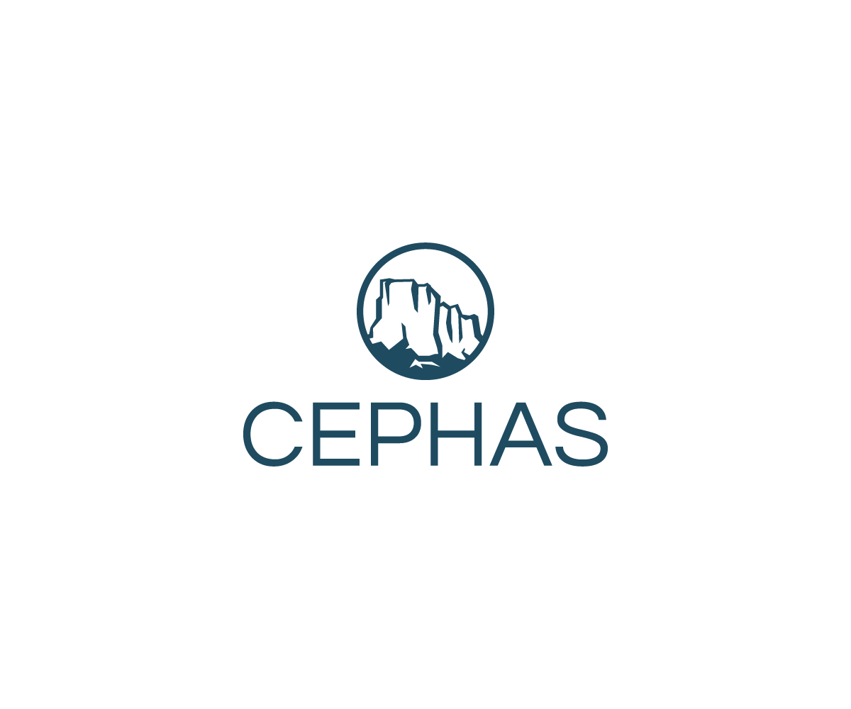 Logo Design by WahyuHMD for this project | Design #23534077