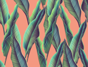 Grafik-Design von kauan.catosso 13 für dieses Projekt | Design: #23626458