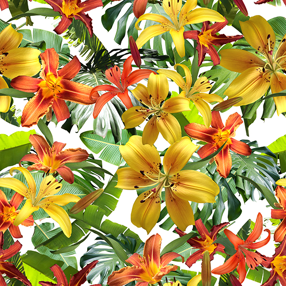 Graphic Design by kauan.catosso 13 for this project | Design #23626484