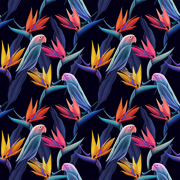 Graphic Design by kauan.catosso 13 for this project | Design #23626489