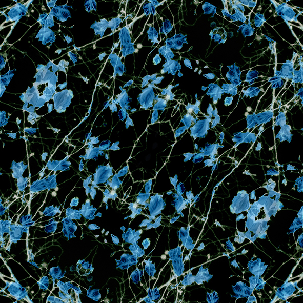 Graphic Design by kauan.catosso 13 for this project | Design #23626492