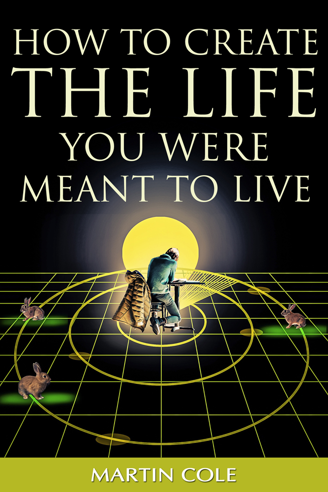 eBook Cover Design by Wally_F for this project | Design #23558344