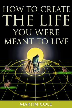 eBook Cover Design by Wally_F for this project | Design: #23558344