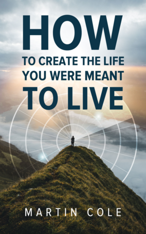 eBook Cover Design by elenaivanova for this project | Design: #23570448