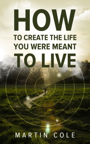 eBook Cover Design by elenaivanova for this project | Design: #23570615