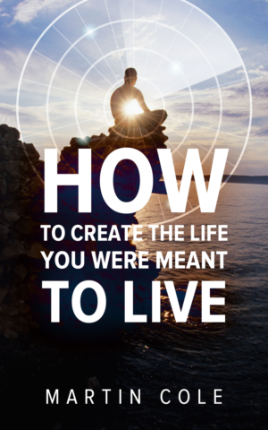 eBook Cover Design by elenaivanova for this project | Design: #23577525