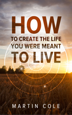eBook Cover Design by elenaivanova for this project | Design: #23578259