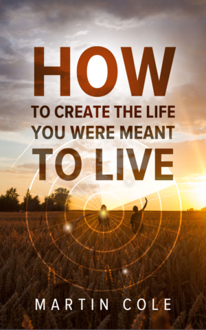 eBook Cover Design by elenaivanova for this project | Design: #23578554
