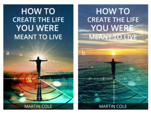 eBook Cover Design by NiN Designs for this project | Design: #23547583