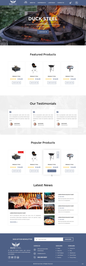 Web Design by pb for Ducksteel Llc. | Design: #23574929