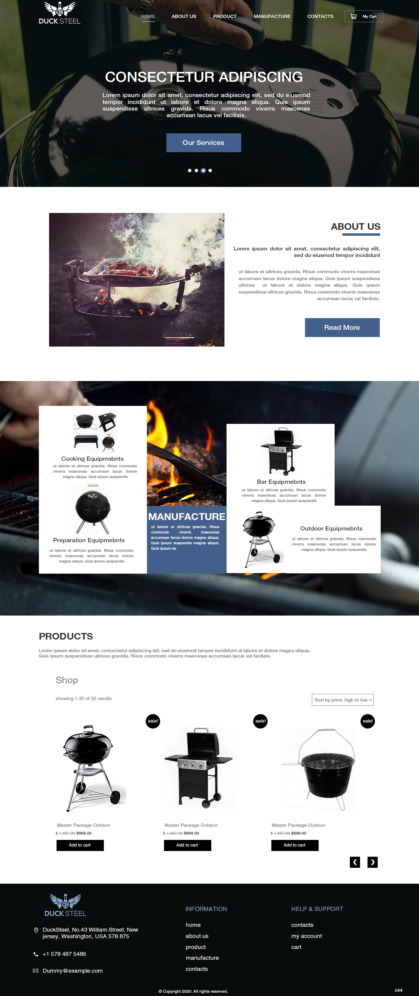 Web Design by pb for Ducksteel Llc. | Design #23574933