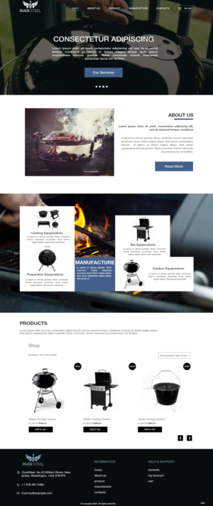 Web Design by pb for Ducksteel Llc. | Design: #23574933