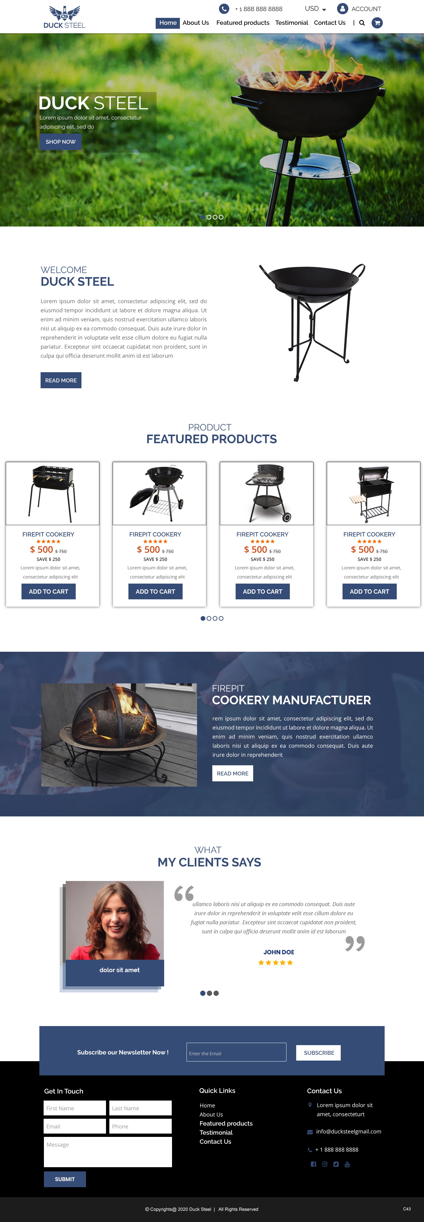 Web Design by pb for Ducksteel Llc. | Design #23580950