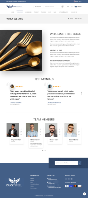 ducksteel website | Web-Design von syrwebdevelopment