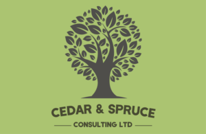 Logo Design by Bilal Sarvana 2