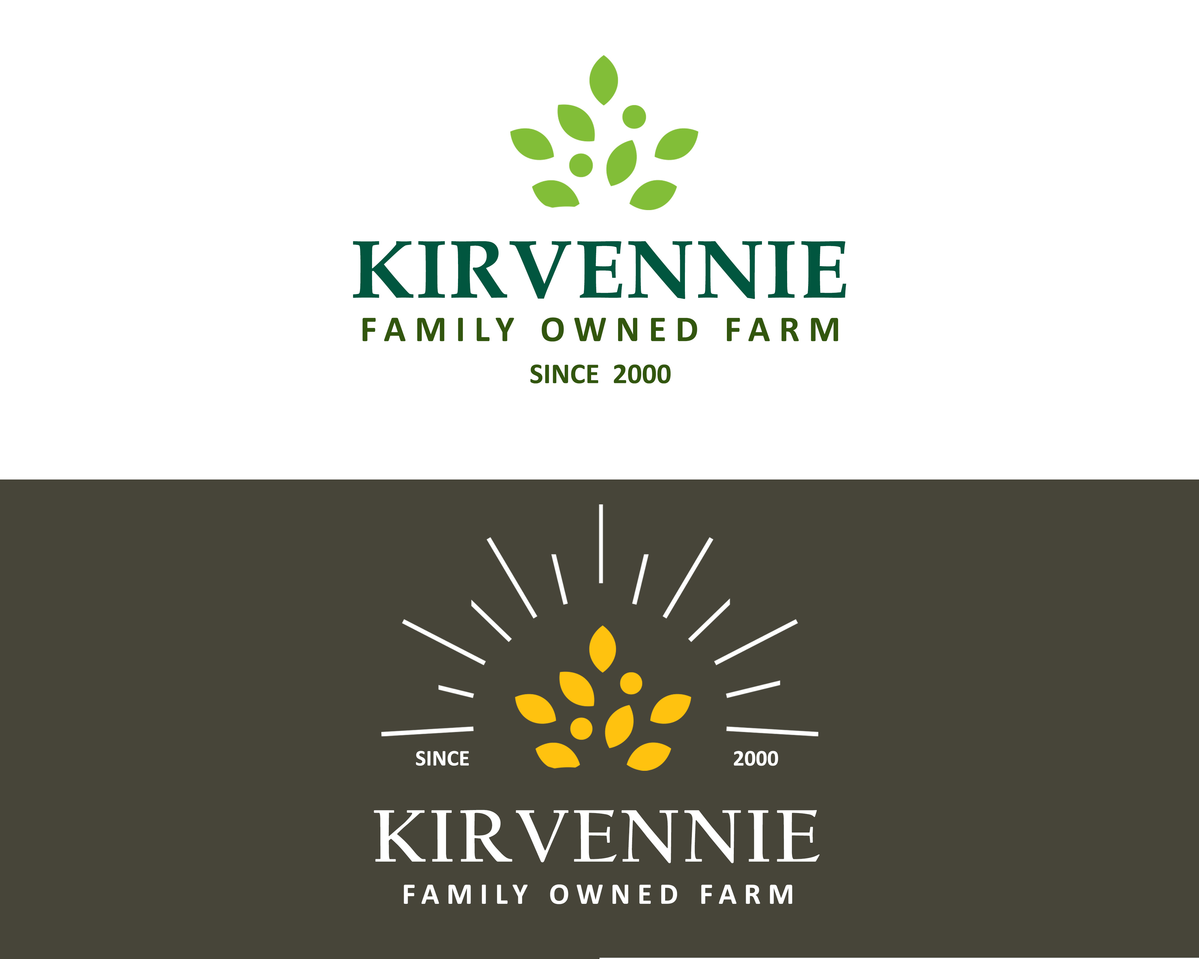 Logo Design by Sohail 2 for this project | Design #23681272