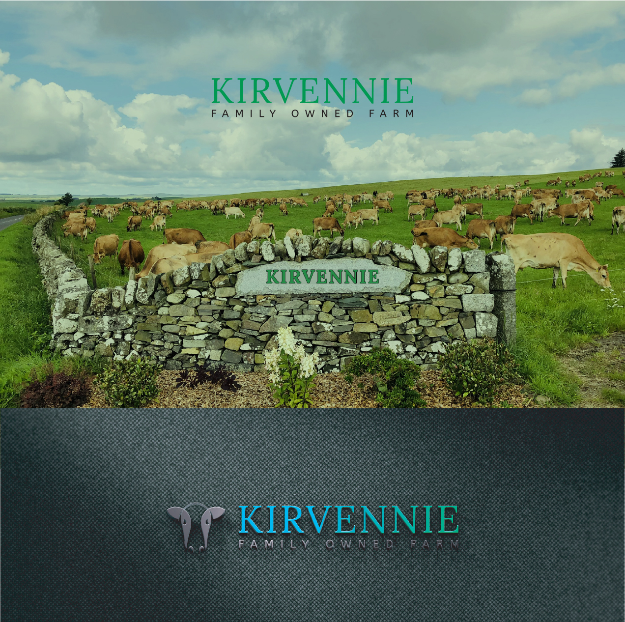 Design de Logo par HifjurRahmanAsad pour ce projet | Design #23718089