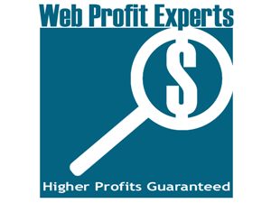 Logo Design by Alex Guimaraes for Web Profit Experts | Design: #61673