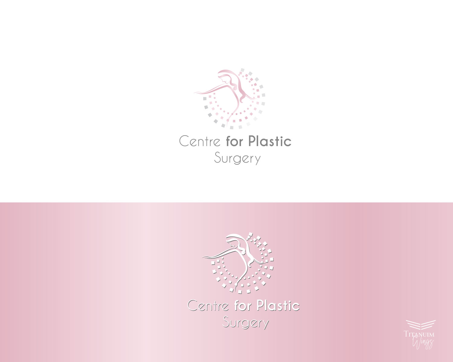 Logo Design by titanium wings for this project | Design #23627555