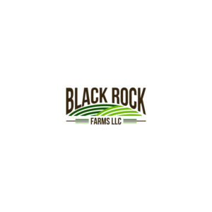 Logo Design by Jeferson HP for this project | Design: #23609828