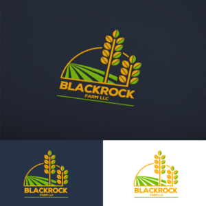 Logo Design by MAHNOOR for this project | Design: #23650555