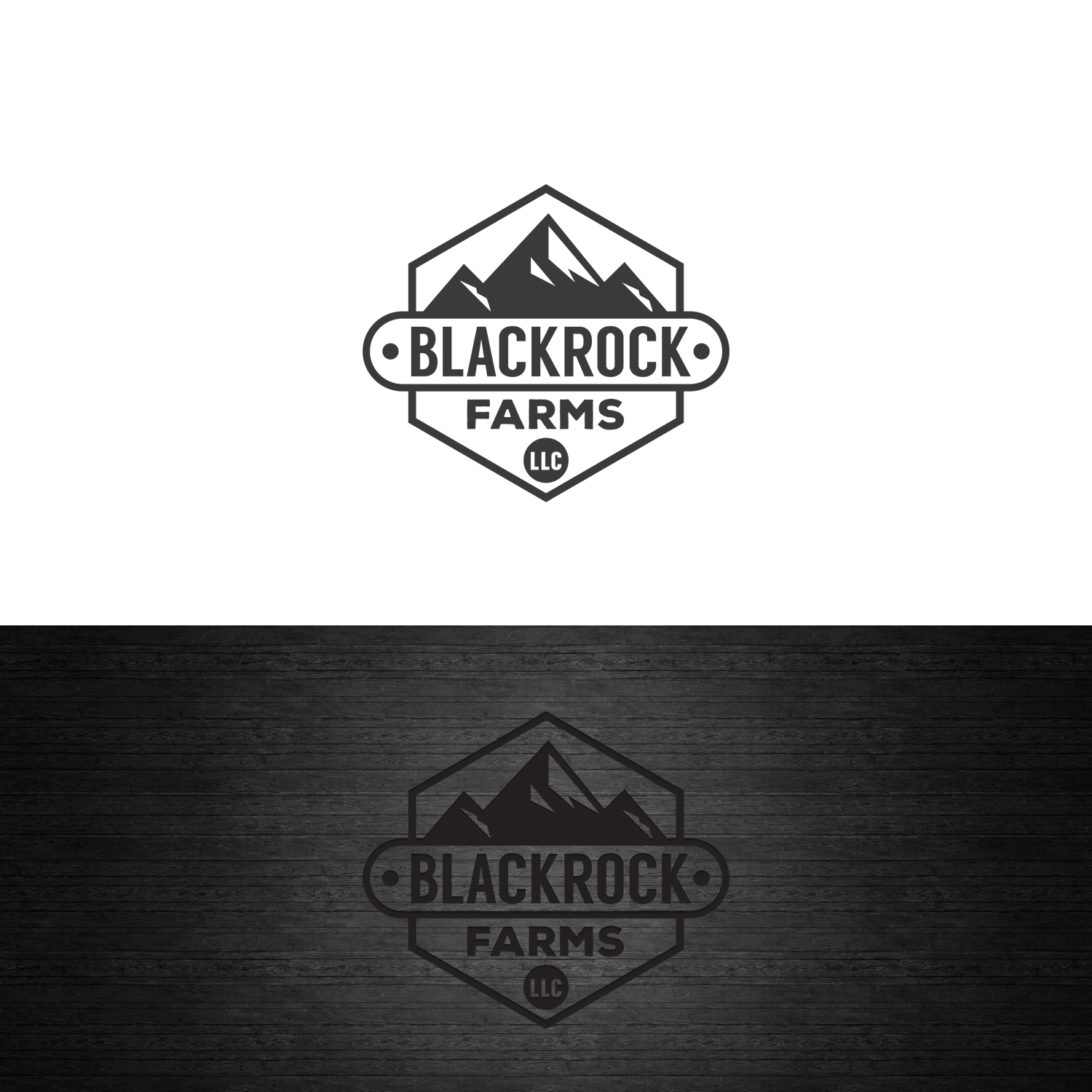 Logo Design by Lesia_Olesia for this project | Design #23607761