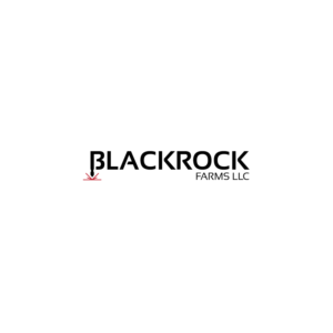 Logo Design by ESolz Technologies