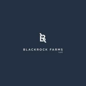 Logo Design by wbk20 for this project | Design: #23607223