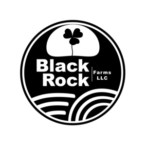 Logo Design by Soolmaz M