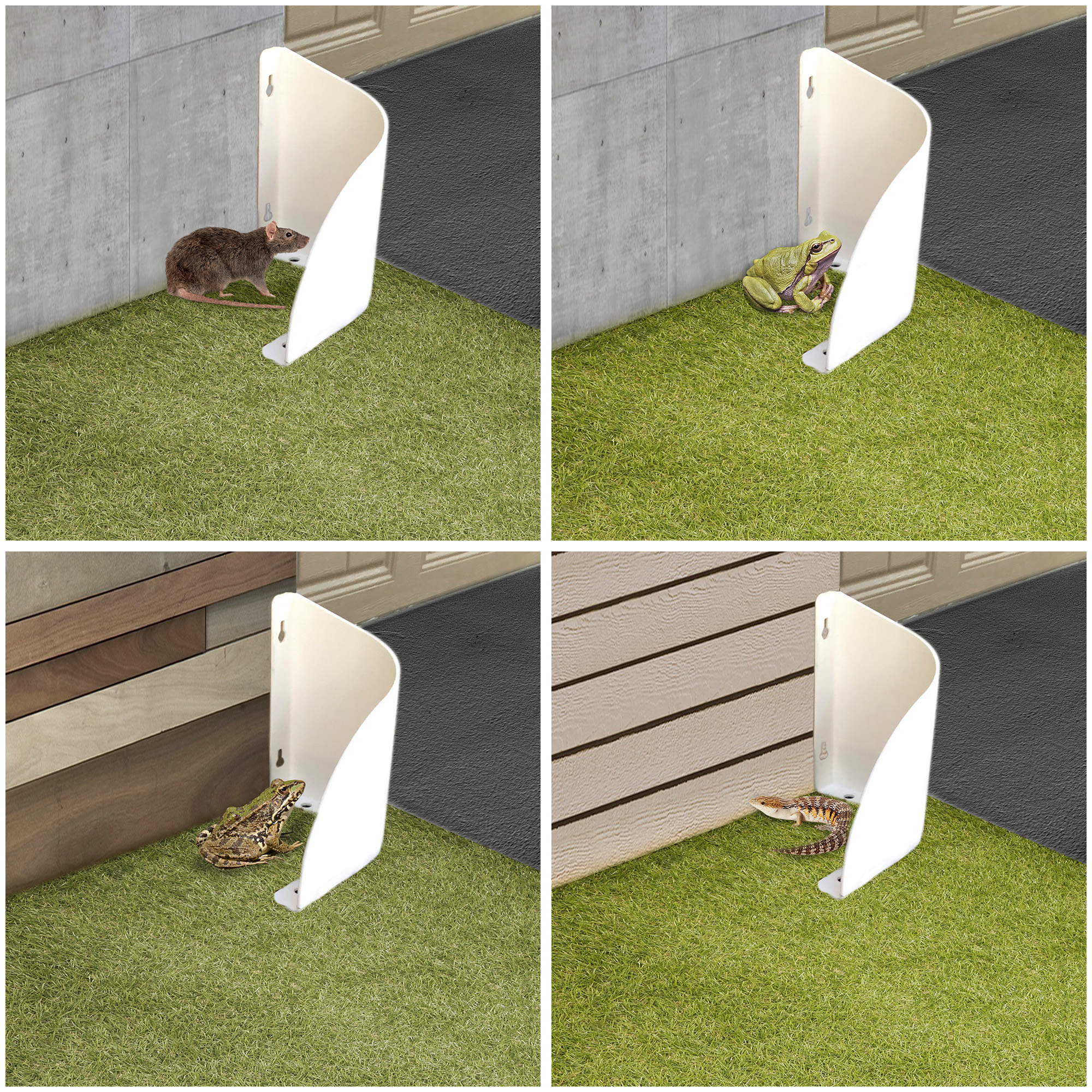 Illustration Design by Tejas_G for RM Brands Inc | Design #23668259