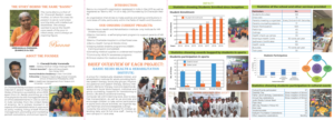 Brochure Design by Sheingart