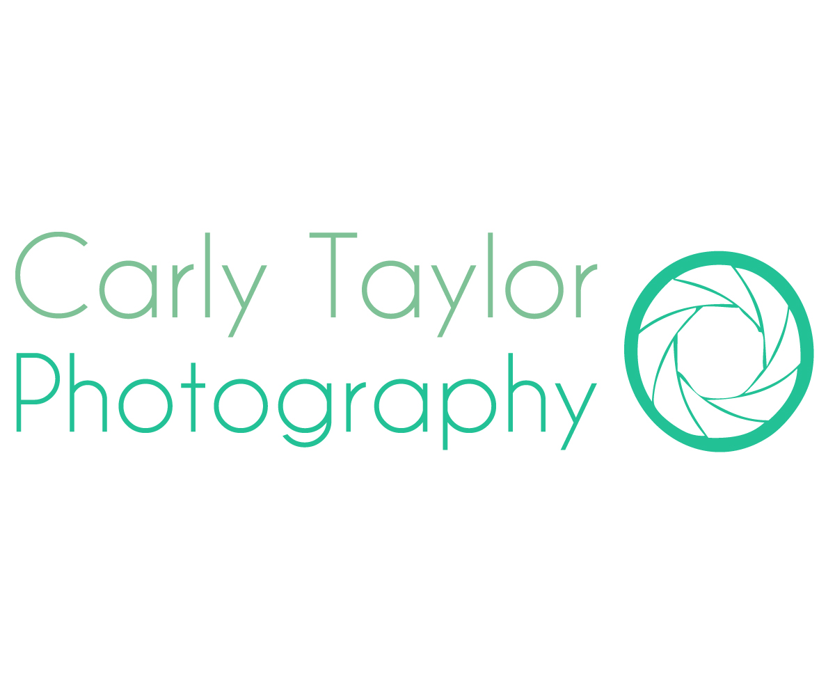 Logo Design by Laj Graphic for The Party Pages | Design #3054557