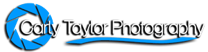 Logo Design by Treeki
