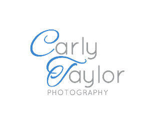Logo Design by Mysterious Design X