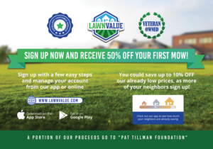Start-up lawncare company needing marketing flyer to promote business model | Design de Flyer par aniep