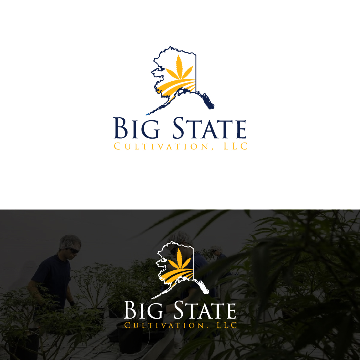 Logo Design by Deziners Zone for this project | Design #23623487