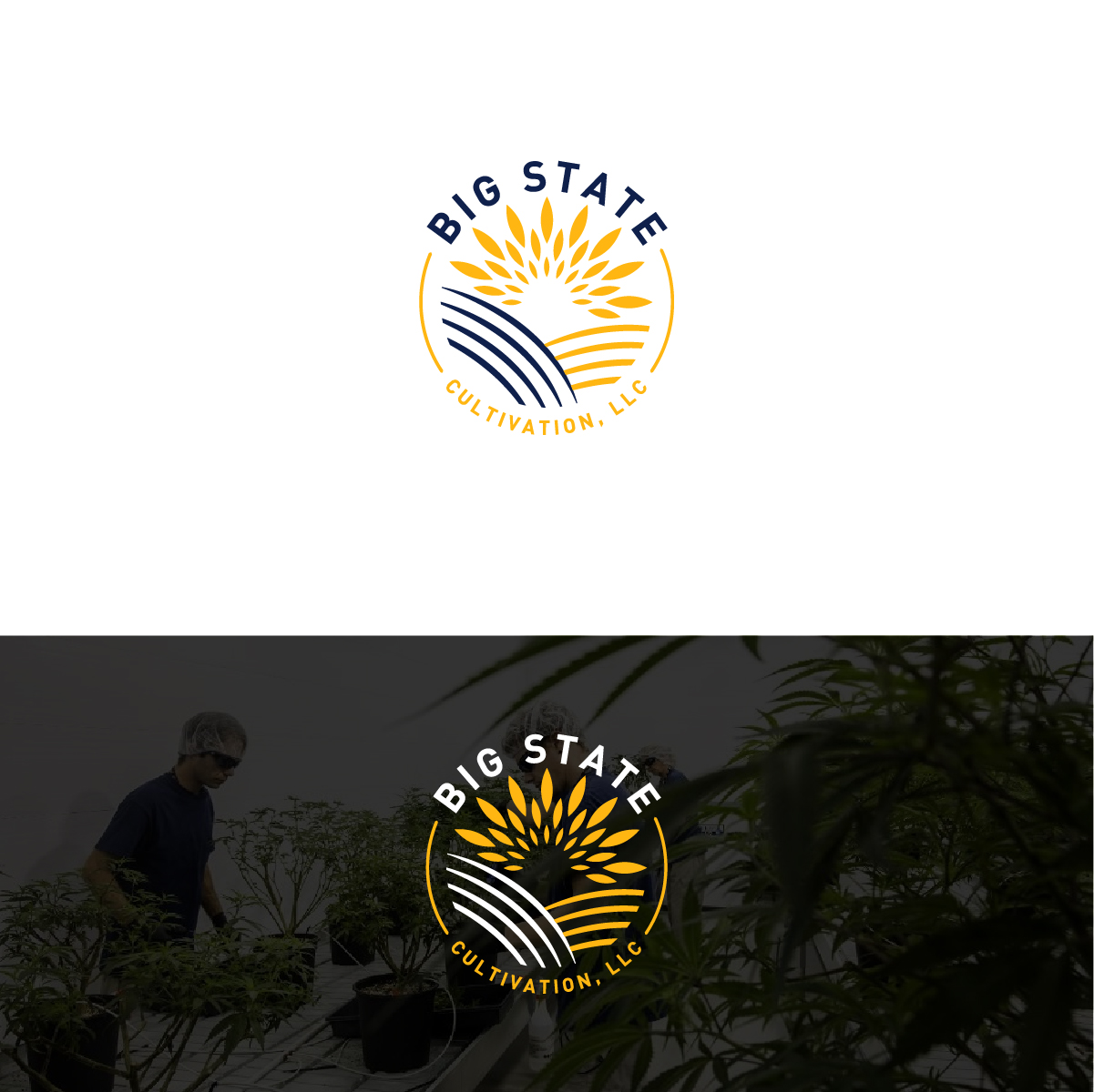 Logo Design by Deziners Zone for this project | Design #23623489