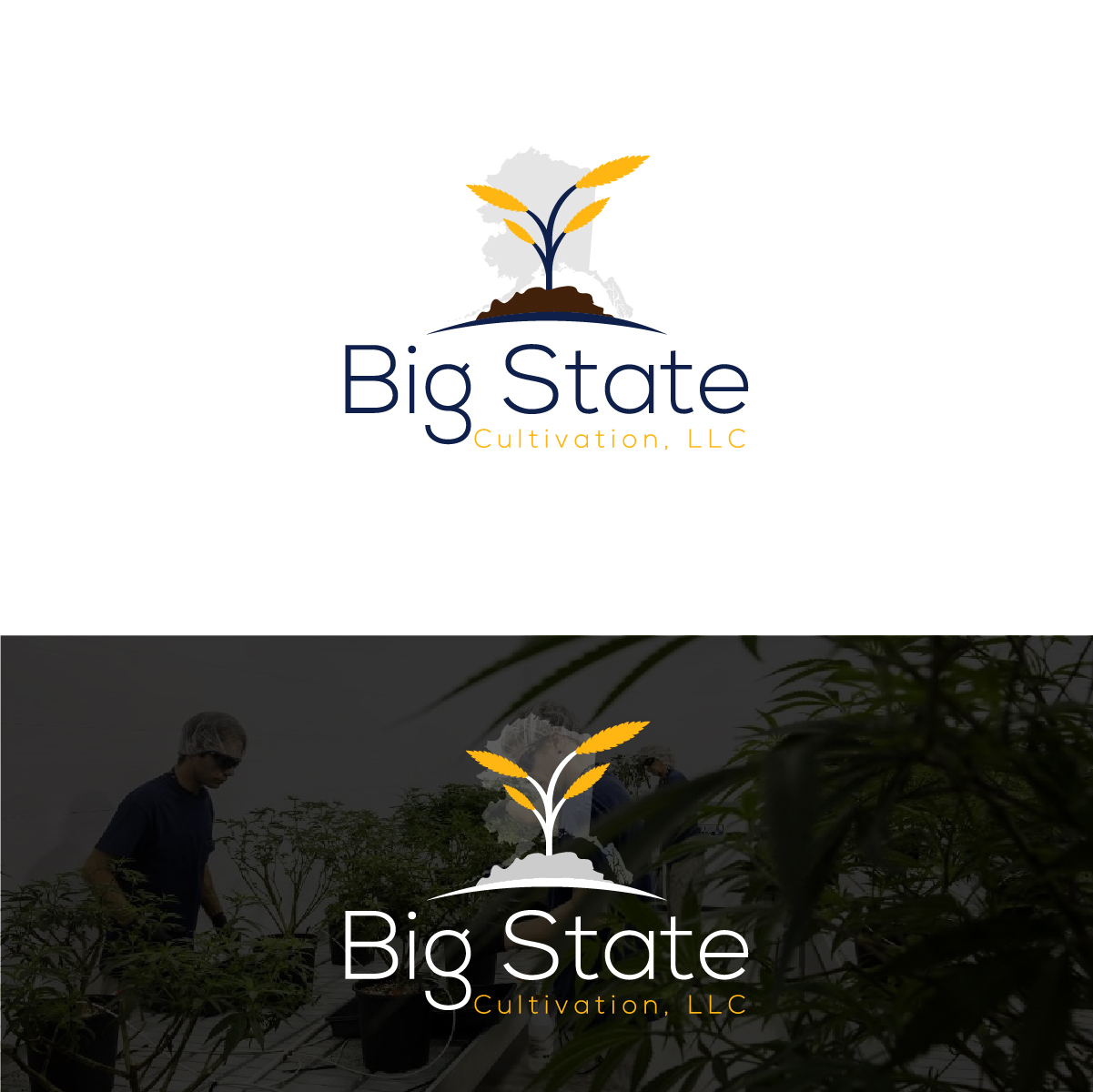 Logo-Design von Deziners Zone für dieses Projekt | Design #23623499