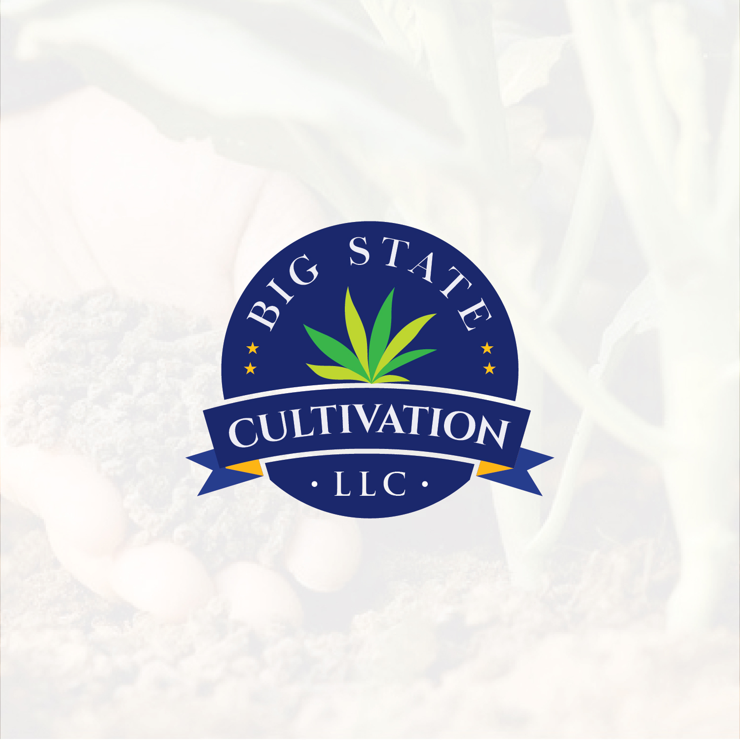 Logo Design by Muhammad Imran 3 for this project | Design #23622355