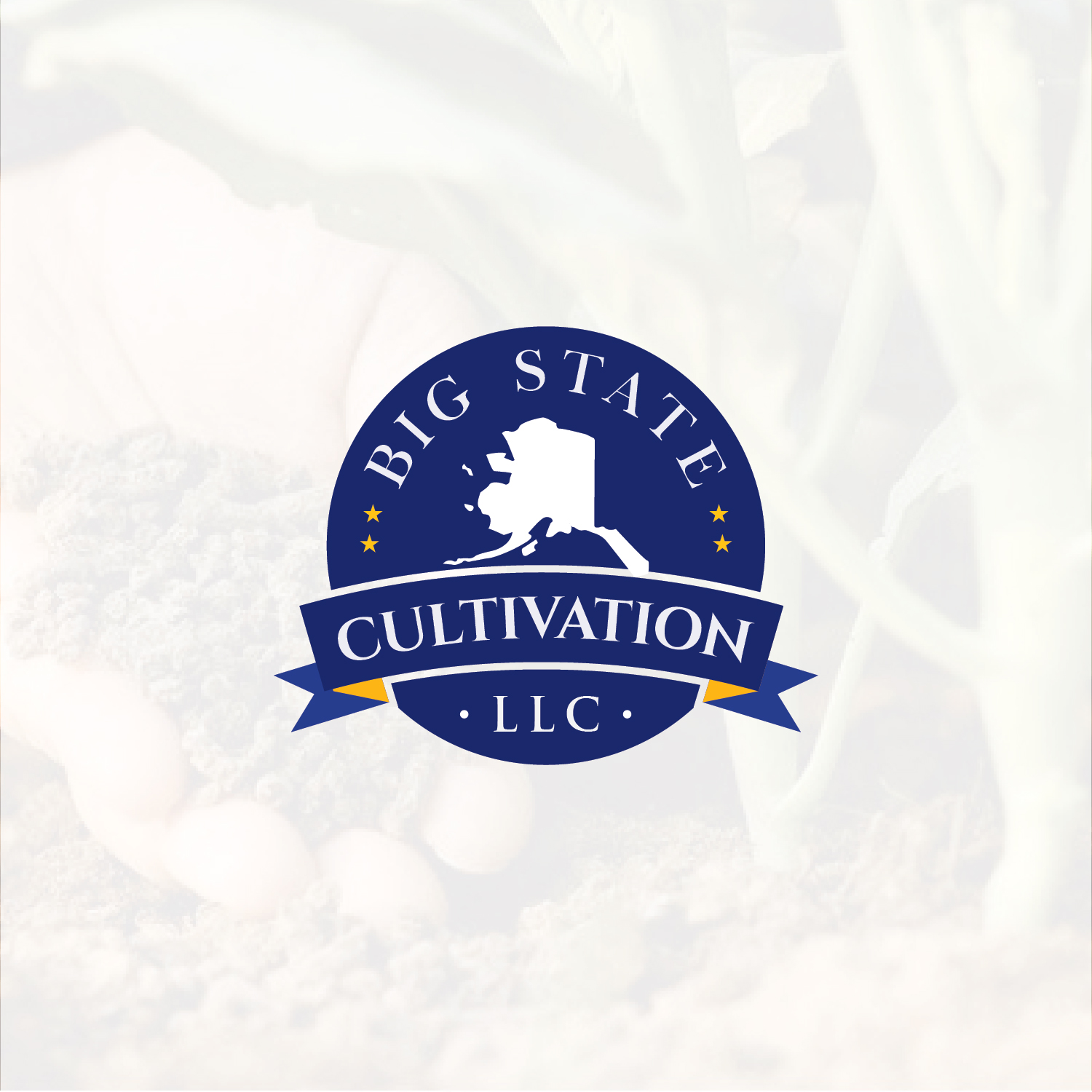 Logo Design by Muhammad Imran 3 for this project | Design #23622356
