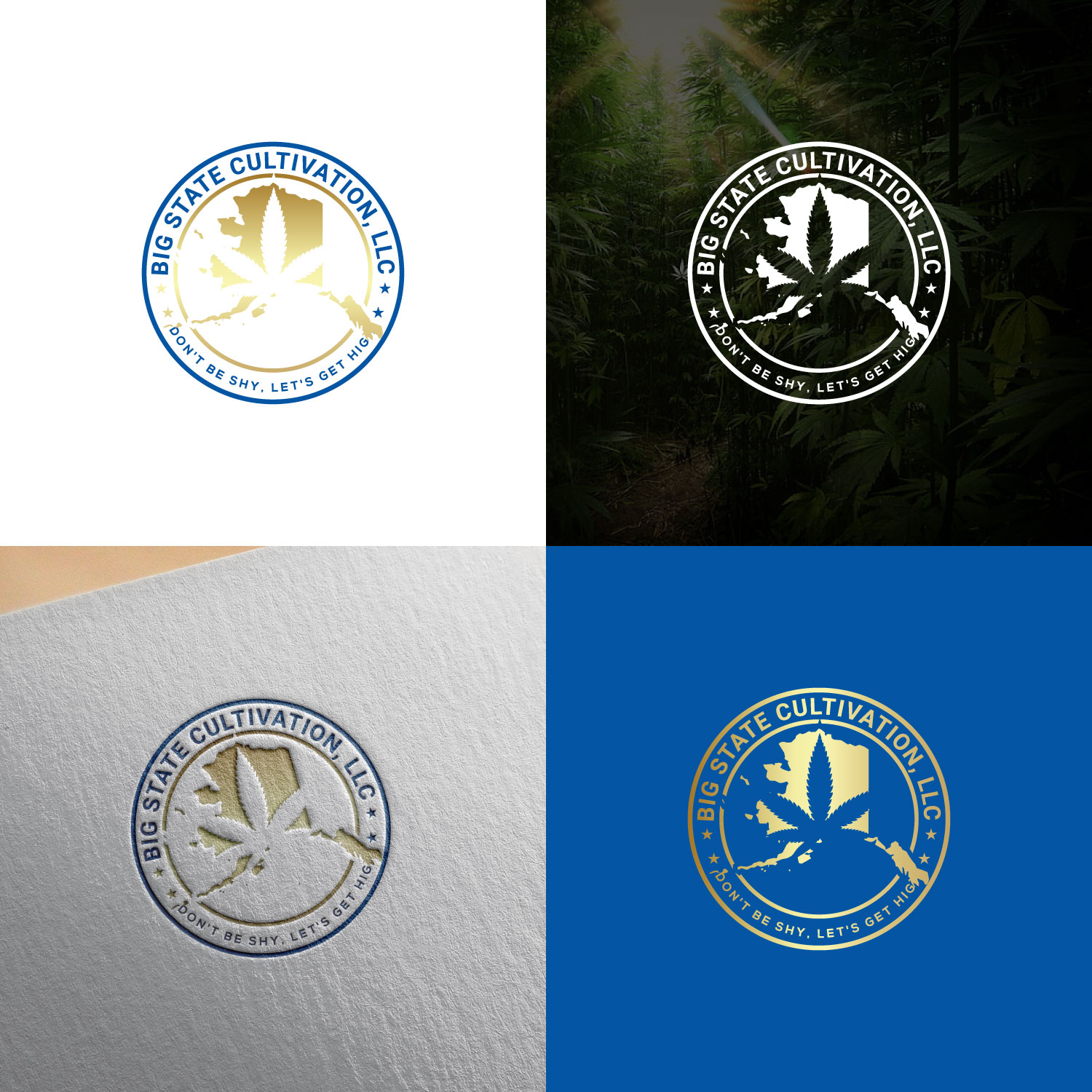 Logo Design by JAHID BIN JAFAR for this project | Design #23641587