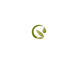 Diseño de Logo por pteroduck para este proyecto | Diseño: #23694398