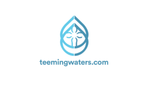 Logo Design by ivo_i_ivanov for teemingwaters.com | Design: #23654802