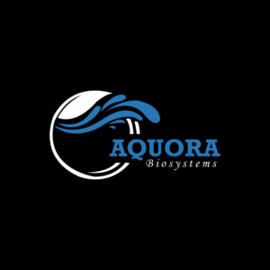 Logo Design by DesignMe Graphics