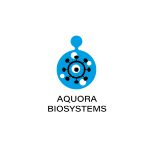 Logo Design by Seun 2