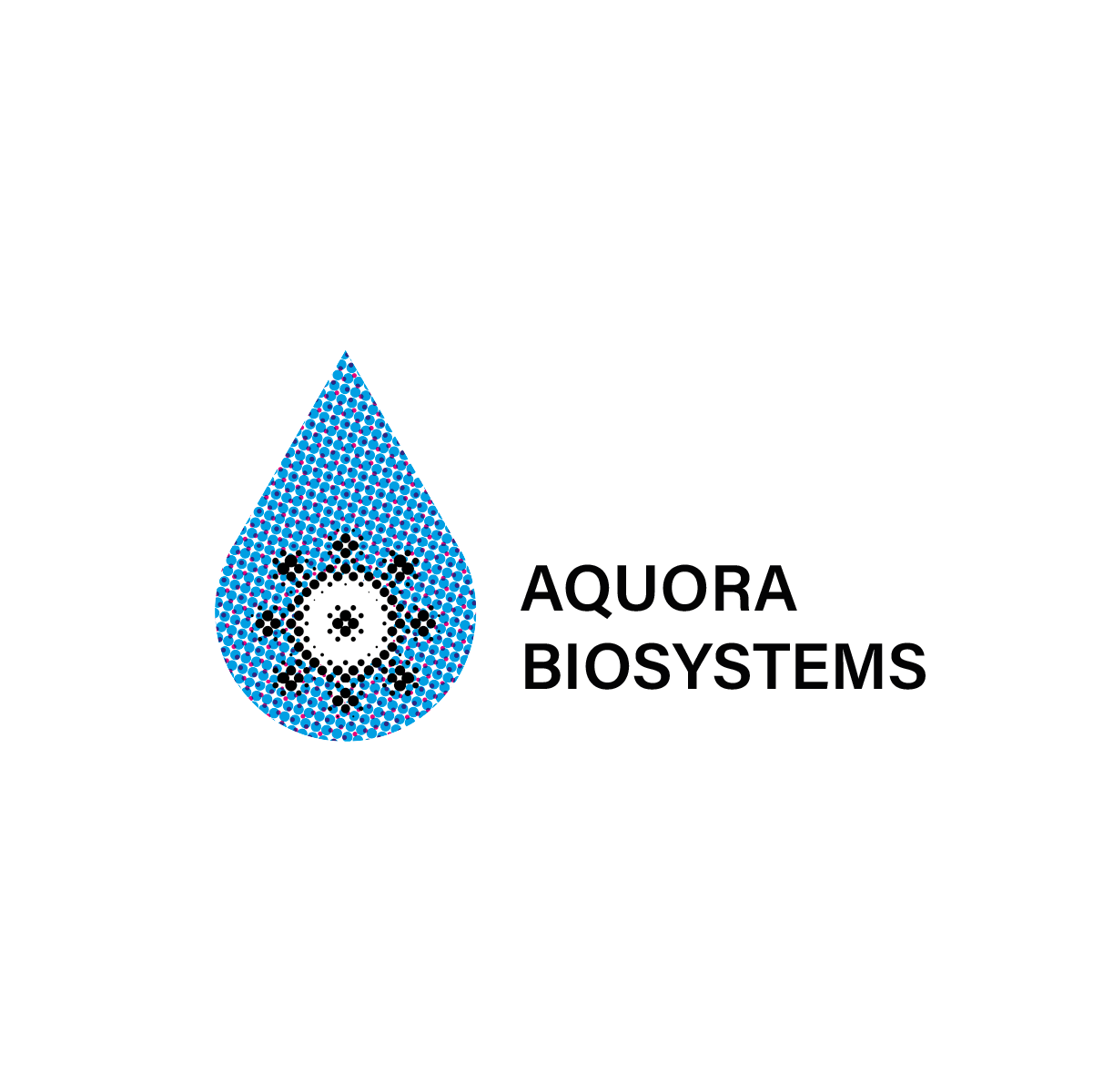 Logo Design by Seun 2 for this project | Design #23630580