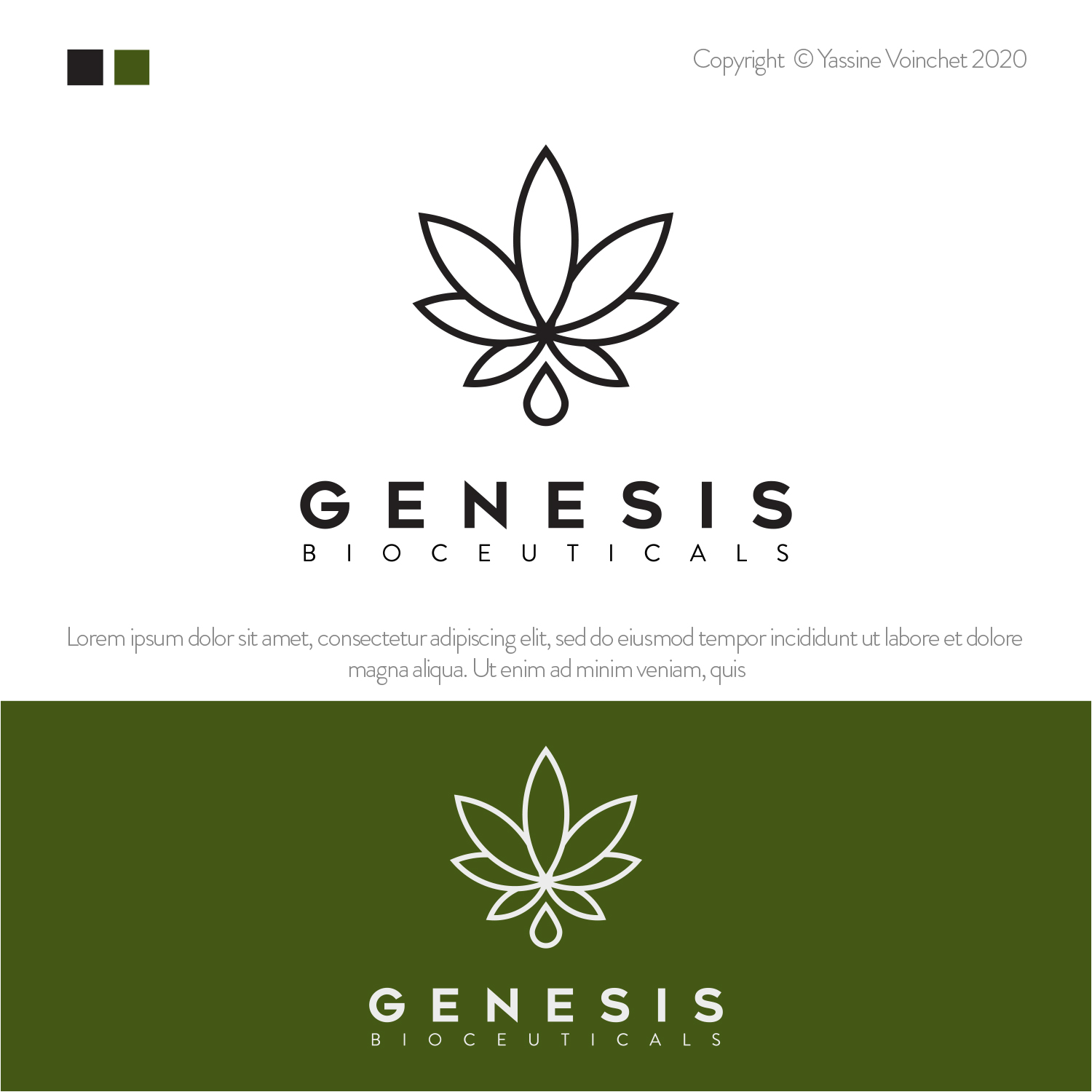 Logo-Design von Yassine Voinchet für dieses Projekt | Design #23619064