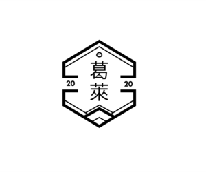 ?? | Logo Design by Ng V Duc