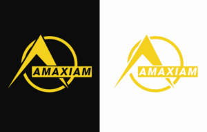 Logo Design by Amirpraboe