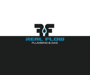 Logo Design by DUAL DESIGNER